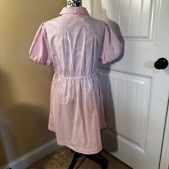 J. Crew Pink and White Striped Dress NWT - Picture 6 of 6